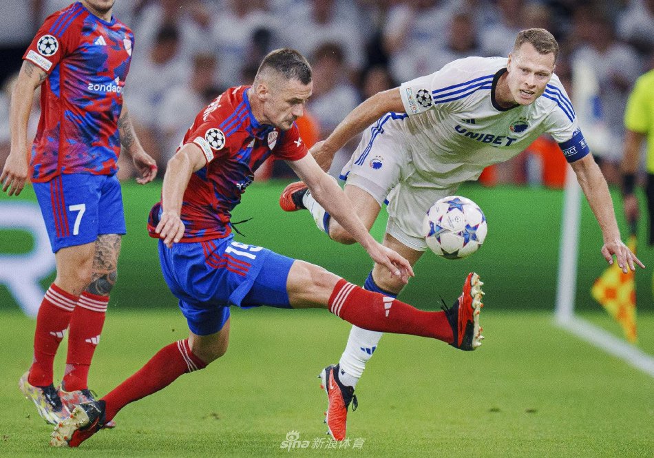 素的完美结 素的完美结